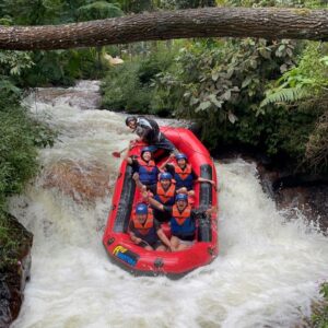 241255456_210167187838639_448898753904593743_n